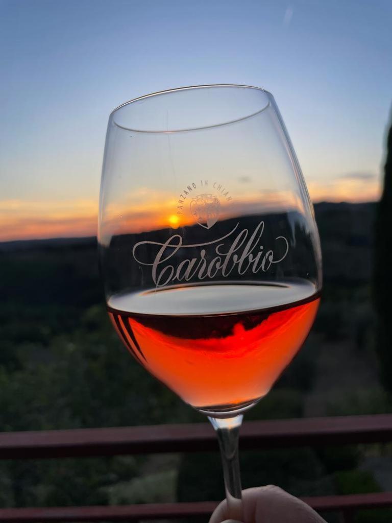 Villa Toscana Il Capiteto Panzano in Chianti Ngoại thất bức ảnh