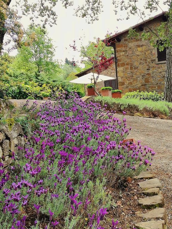 Villa Toscana Il Capiteto Panzano in Chianti Ngoại thất bức ảnh